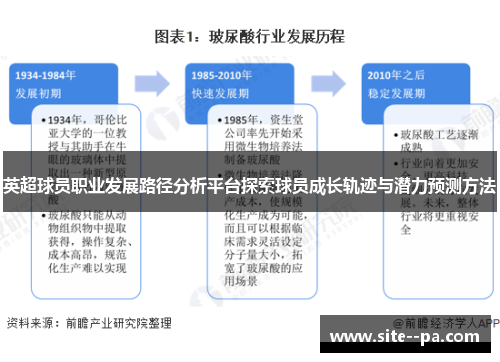 英超球员职业发展路径分析平台探索球员成长轨迹与潜力预测方法