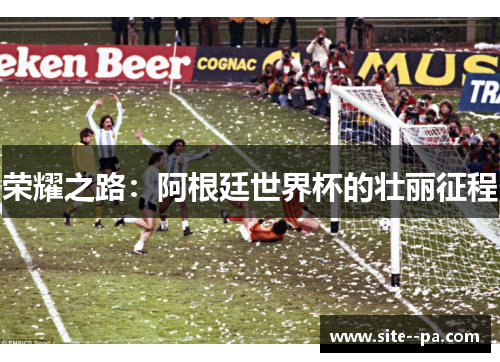 荣耀之路：阿根廷世界杯的壮丽征程