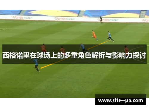 西格诺里在球场上的多重角色解析与影响力探讨