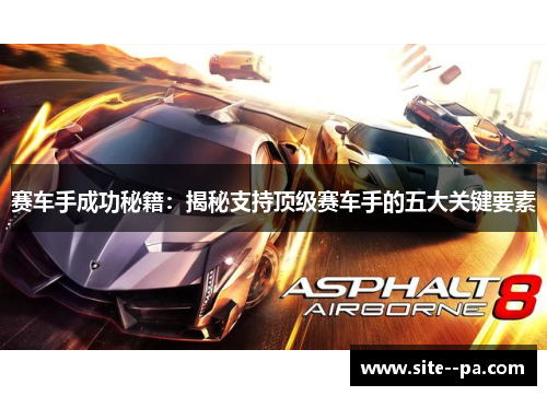 赛车手成功秘籍：揭秘支持顶级赛车手的五大关键要素