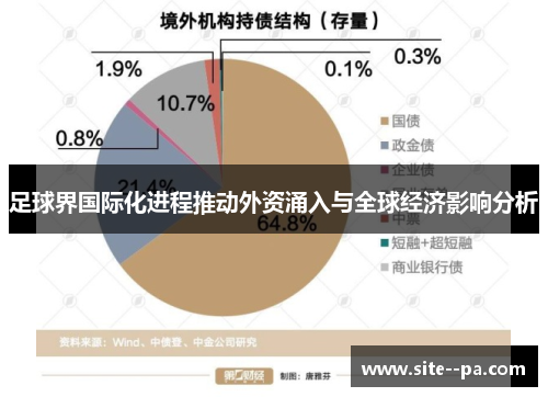 足球界国际化进程推动外资涌入与全球经济影响分析 足球界国际化进程推动外资涌入与全球经济影响分析