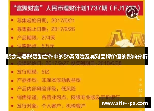 骁龙与曼联赞助合作中的财务风险及其对品牌价值的影响分析