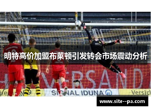 明特高价加盟布莱顿引发转会市场震动分析